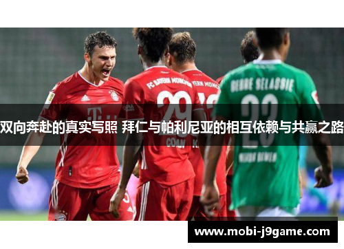 双向奔赴的真实写照 拜仁与帕利尼亚的相互依赖与共赢之路
