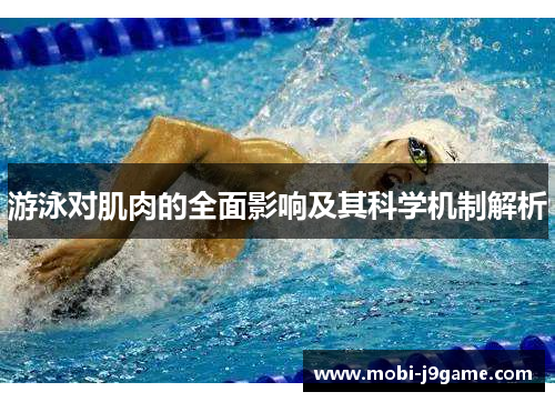 游泳对肌肉的全面影响及其科学机制解析