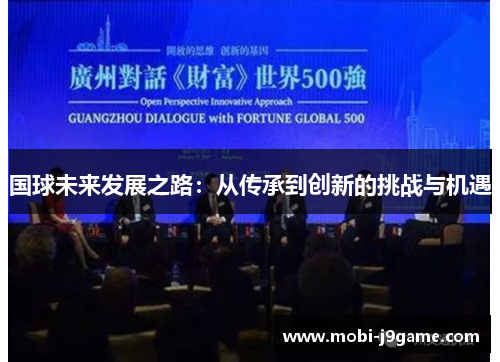 国球未来发展之路：从传承到创新的挑战与机遇