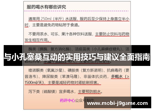 与小孔塞桑互动的实用技巧与建议全面指南