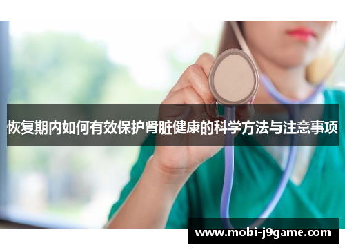 恢复期内如何有效保护肾脏健康的科学方法与注意事项