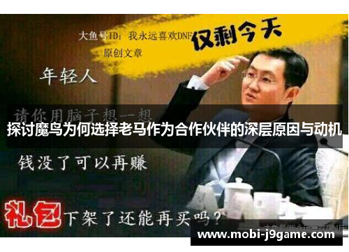 探讨魔鸟为何选择老马作为合作伙伴的深层原因与动机