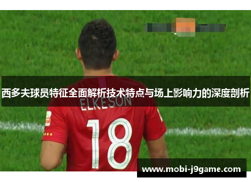 西多夫球员特征全面解析技术特点与场上影响力的深度剖析