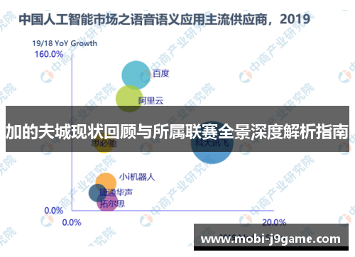 加的夫城现状回顾与所属联赛全景深度解析指南 加的夫城现状回顾与所属联赛全景深度解析指南