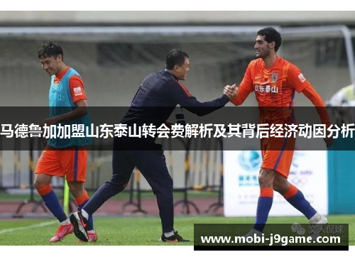 马德鲁加加盟山东泰山转会费解析及其背后经济动因分析 马德鲁加加盟山东泰山转会费解析及其背后经济动因分析